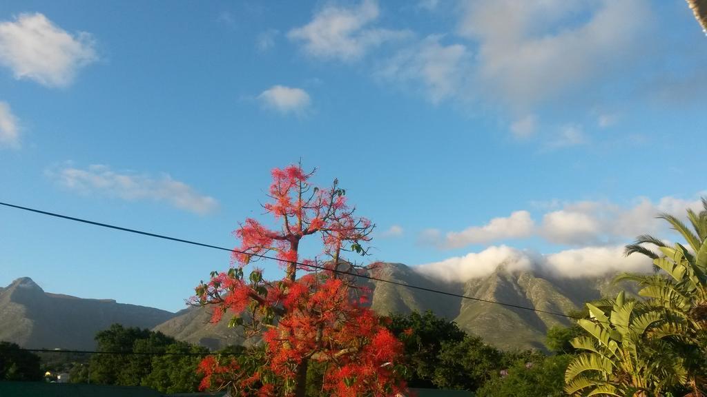 Flametree Guesthouse Swellendam Luaran gambar