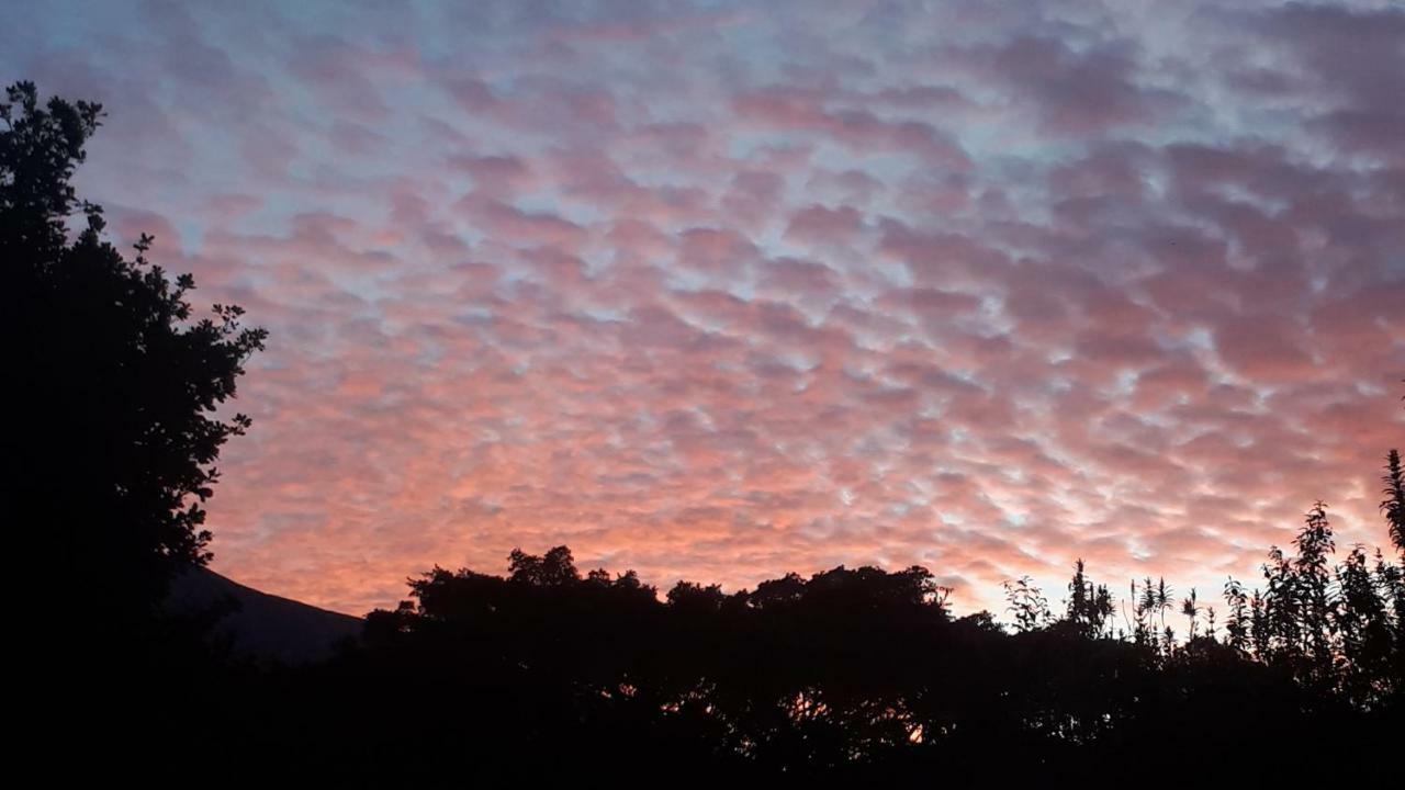 Flametree Guesthouse Swellendam Luaran gambar