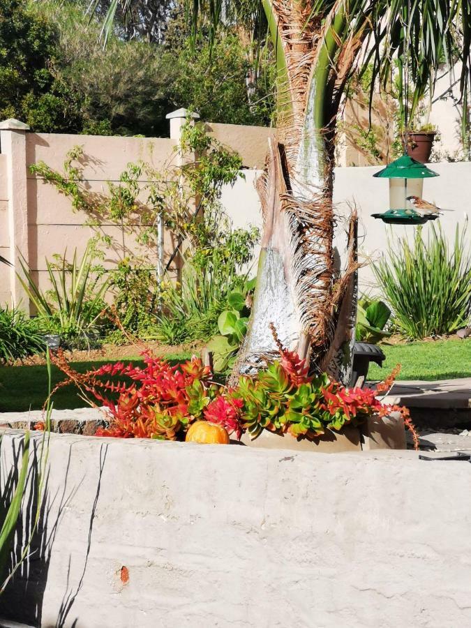 Flametree Guesthouse Swellendam Luaran gambar